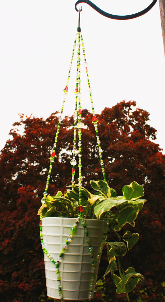 Custom plant hanger (made to order)